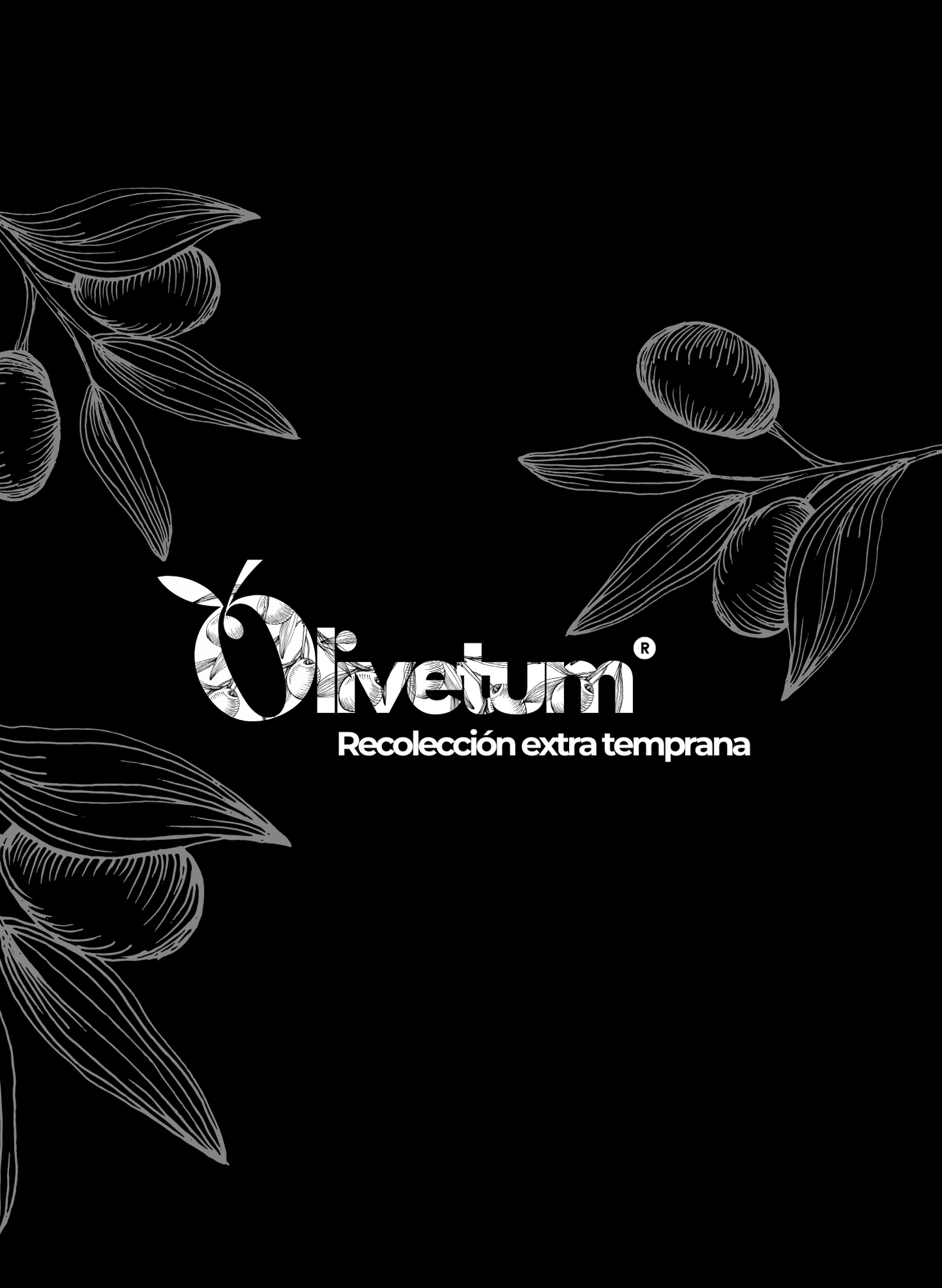 Aceite de Oliva Virgen Extra – 500 ml con estuche individual